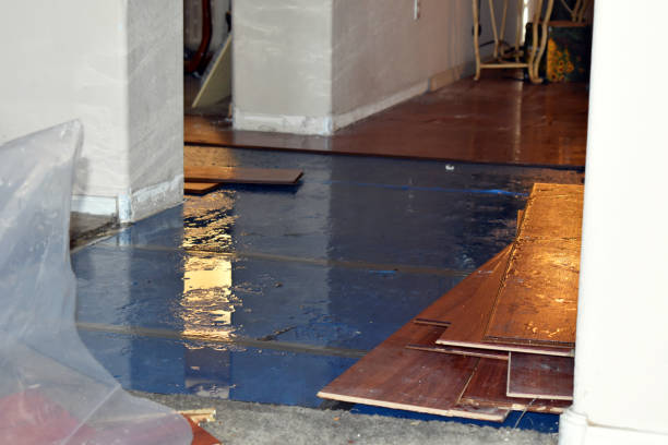 Professional Basement Flood Cleanup technician working in Hopatcong, NJ